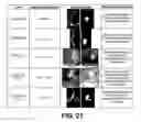 Fig. 20 - Shape changing drug delivery devices and methods
