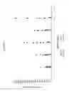 Fig. 28 - Immediate release abuse-deterrent granulated dosage forms