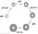 Fig. 01 - NANOCOMPOSITES OF GOLD AND POLYMERS