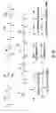 Fig. 11 - NANOCOMPOSITES OF GOLD AND POLYMERS