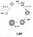 Fig. 14 - NANOCOMPOSITES OF GOLD AND POLYMERS