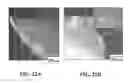 Fig. 24 - NANOCOMPOSITES OF GOLD AND POLYMERS