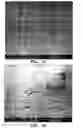 Fig. 02 - Cell-targeting nanoparticles comprising polynucleotide agents and uses thereof