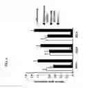 Fig. 06 - Cell-targeting nanoparticles comprising polynucleotide agents and uses thereof