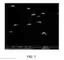 Fig. 08 - Cell-targeting nanoparticles comprising polynucleotide agents and uses thereof