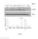Fig. 07 - Compositions and methods for diagnosing or treating neutrophil-mediated inflammatory disease