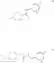 Fig. 10 - Immunoregulatory agents