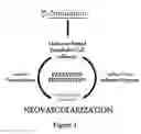 Fig. 02 - Method for regulating retinal endothelial cell viability