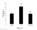 Fig. 03 - Method for regulating retinal endothelial cell viability