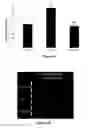 Fig. 13 - Method for regulating retinal endothelial cell viability