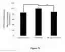 Fig. 17 - Method for regulating retinal endothelial cell viability