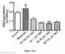 Fig. 30 - Method for regulating retinal endothelial cell viability