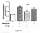 Fig. 32 - Method for regulating retinal endothelial cell viability