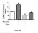 Fig. 33 - Method for regulating retinal endothelial cell viability
