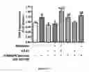 Fig. 46 - Method for regulating retinal endothelial cell viability