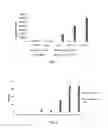 Fig. 02 - METHOD FOR REDUCING THE VIRAL LOAD IN POULTRY CHALLENGED WITH NEWCASTLE DISEASE (ND)/ AVIAN INFLUENZA (AI)
