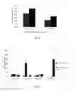 Fig. 04 - METHOD FOR REDUCING THE VIRAL LOAD IN POULTRY CHALLENGED WITH NEWCASTLE DISEASE (ND)/ AVIAN INFLUENZA (AI)