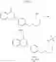 Fig. 49 - Synthesis and use of amine-containing flavonoids as potent anti-leishmanial agents