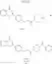 Fig. 58 - Synthesis and use of amine-containing flavonoids as potent anti-leishmanial agents
