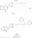 Fig. 63 - Synthesis and use of amine-containing flavonoids as potent anti-leishmanial agents