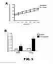 Fig. 05 - Methods for improving muscle and heart function