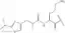 Fig. 120 - MODULATORS OF PHARMACOKINETIC PROPERTIES OF THERAPEUTICS