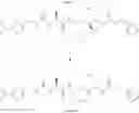 Fig. 142 - MODULATORS OF PHARMACOKINETIC PROPERTIES OF THERAPEUTICS