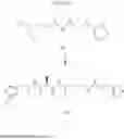 Fig. 209 - MODULATORS OF PHARMACOKINETIC PROPERTIES OF THERAPEUTICS