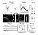 Fig. 04 - METHODS AND COMPOSITIONS FOR TREATING PAIN
