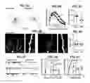 Fig. 06 - METHODS AND COMPOSITIONS FOR TREATING PAIN