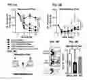 Fig. 09 - METHODS AND COMPOSITIONS FOR TREATING PAIN