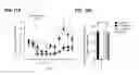 Fig. 13 - METHODS AND COMPOSITIONS FOR TREATING PAIN