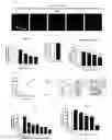 Fig. 02 - Pharmaceutical composition for preventing or treating neurodegenerative diseases