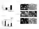 Fig. 08 - Pharmaceutical composition for preventing or treating neurodegenerative diseases