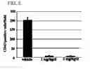 Fig. 03 - PPARγ agonists for treatment of multiple sclerosis