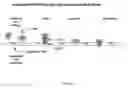 Fig. 02 - COMPOSITIONS AND METHODS FOR TREATMENT