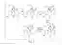 Fig. 06 - SYNTHESIS OF (R)-N-METHYLNALTREXONE