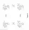 Fig. 07 - Cannabinoid receptor modulators