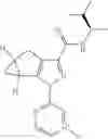 Fig. 45 - Cannabinoid receptor modulators