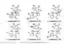 Fig. 02 - Compounds, compositions and methods of agelastatin alkaloids