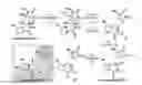 Fig. 04 - Compounds, compositions and methods of agelastatin alkaloids