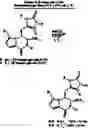 Fig. 43 - Compounds, compositions and methods of agelastatin alkaloids
