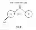 Fig. 05 - Methods of Treating Cancers, Immune and Autoimmune Diseases, and Inflammatory Diseases Based on BTK Occupancy and BTK Resynthesis Rate