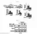 Fig. 04 - Pharmaceutical composition for preventing or treating of cirrhosis of liver comprising G protein coupled receptor 119 ligand as an active ingredient