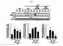Fig. 07 - Pharmaceutical composition for preventing or treating of cirrhosis of liver comprising G protein coupled receptor 119 ligand as an active ingredient