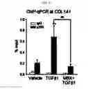 Fig. 11 - Pharmaceutical composition for preventing or treating of cirrhosis of liver comprising G protein coupled receptor 119 ligand as an active ingredient