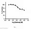 Fig. 02 - COMBINATION COMPRISING AN ATP ANALOG AND AN ADENOSINE RECEPTOR ANTAGONIST OR A NUCLEOBASE NUCLEOSIDE ANALOG FOR THE TREATMENT OF CANCER