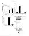 Fig. 04 - ADENOSINE RECEPTOR AGONISTS AND ANTAGONISTS TO MODULATE T CELL RESPONSES