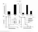 Fig. 06 - ADENOSINE RECEPTOR AGONISTS AND ANTAGONISTS TO MODULATE T CELL RESPONSES