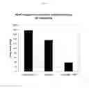 Fig. 18 - ADENOSINE RECEPTOR AGONISTS AND ANTAGONISTS TO MODULATE T CELL RESPONSES